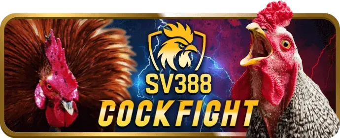Biểu tượng cấp độ Bạc VIP