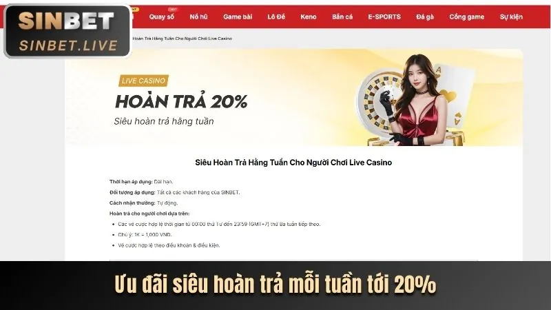 Hoàn tất đăng nhập 12betwin và vào bảng điều khiển